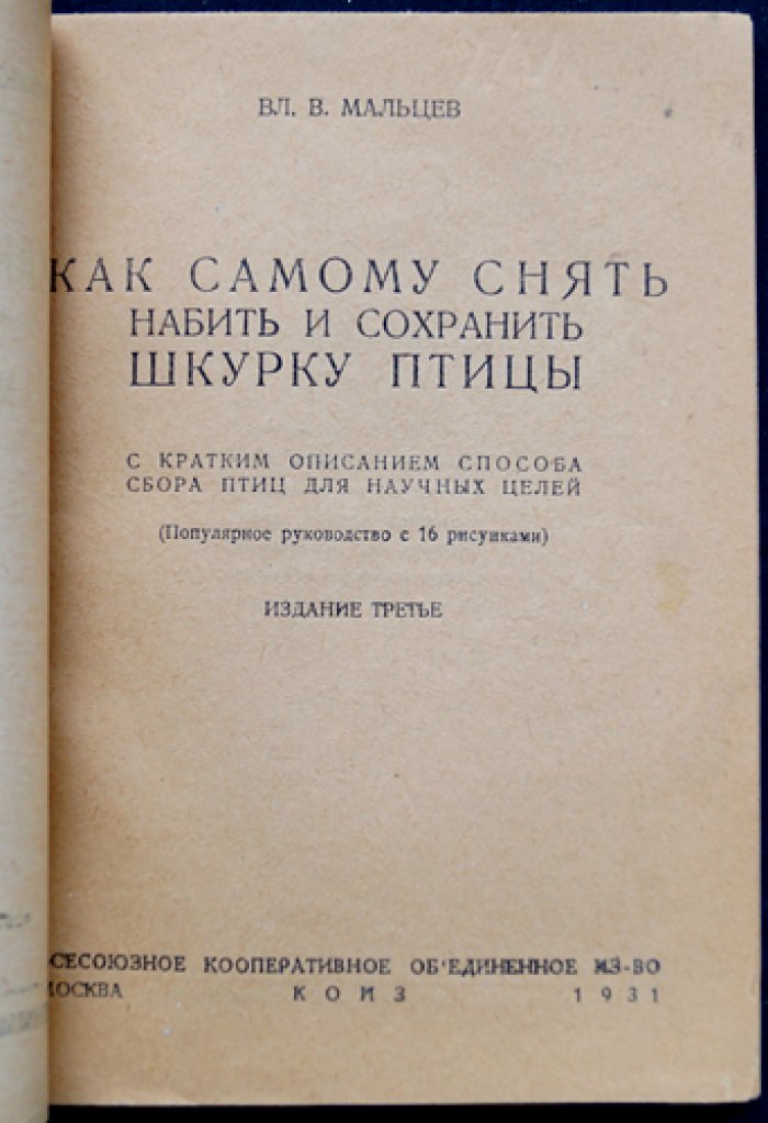 Мальцев В. В. Как самому снять, набить и сохранить шкурку птицы