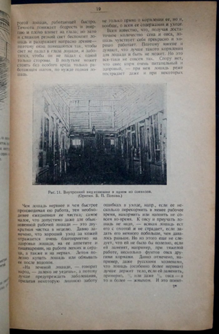 Богданов Е.А., профессор Как развить и уберечь силу лошади и вола.