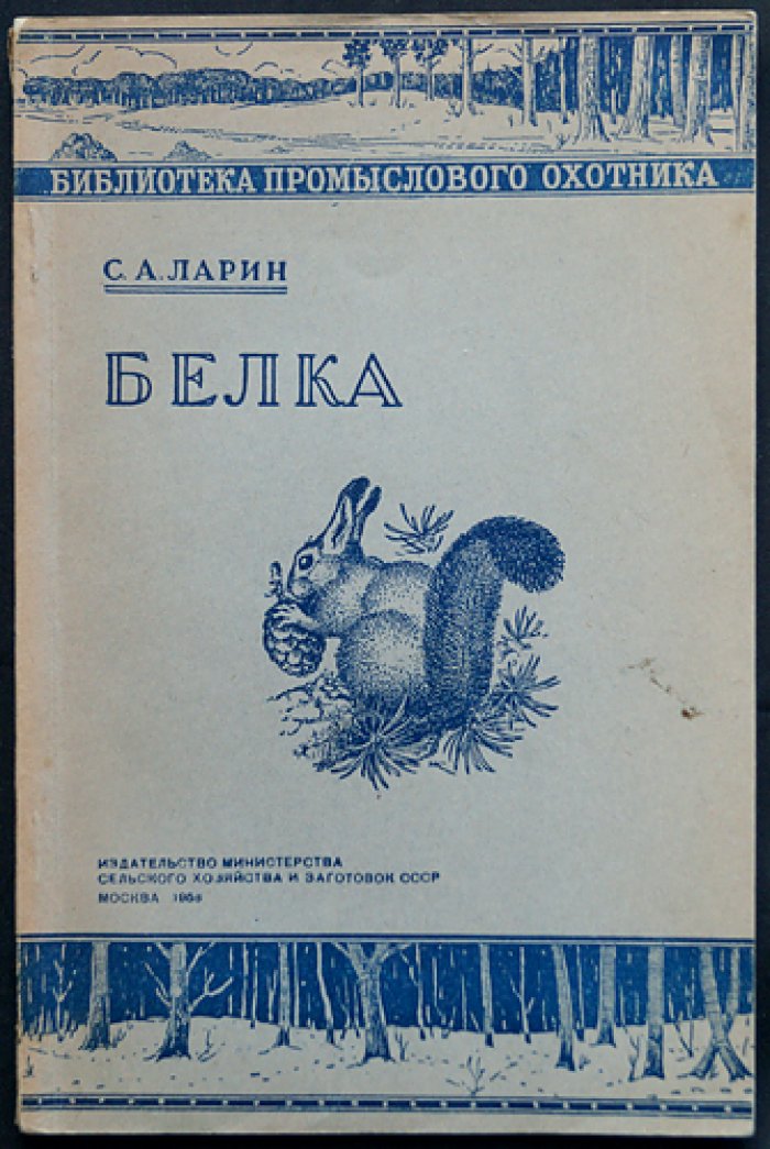 Ларин С.А. Белка.