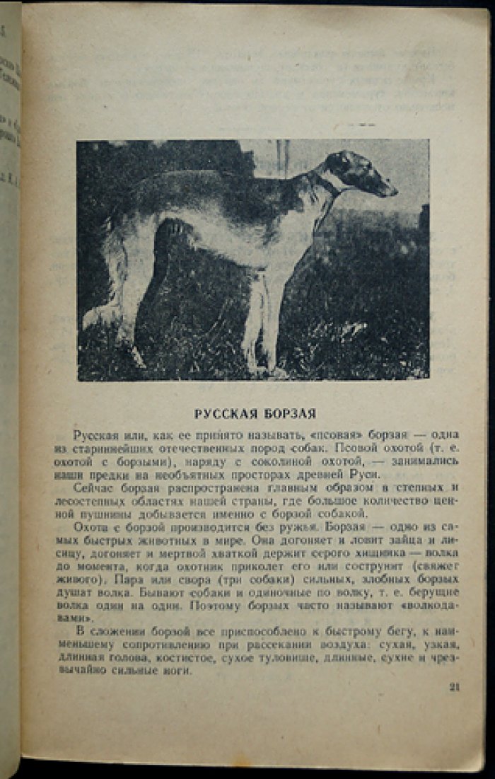 Каталог XVI Очередной выставки охотничьих собак 1949 г.