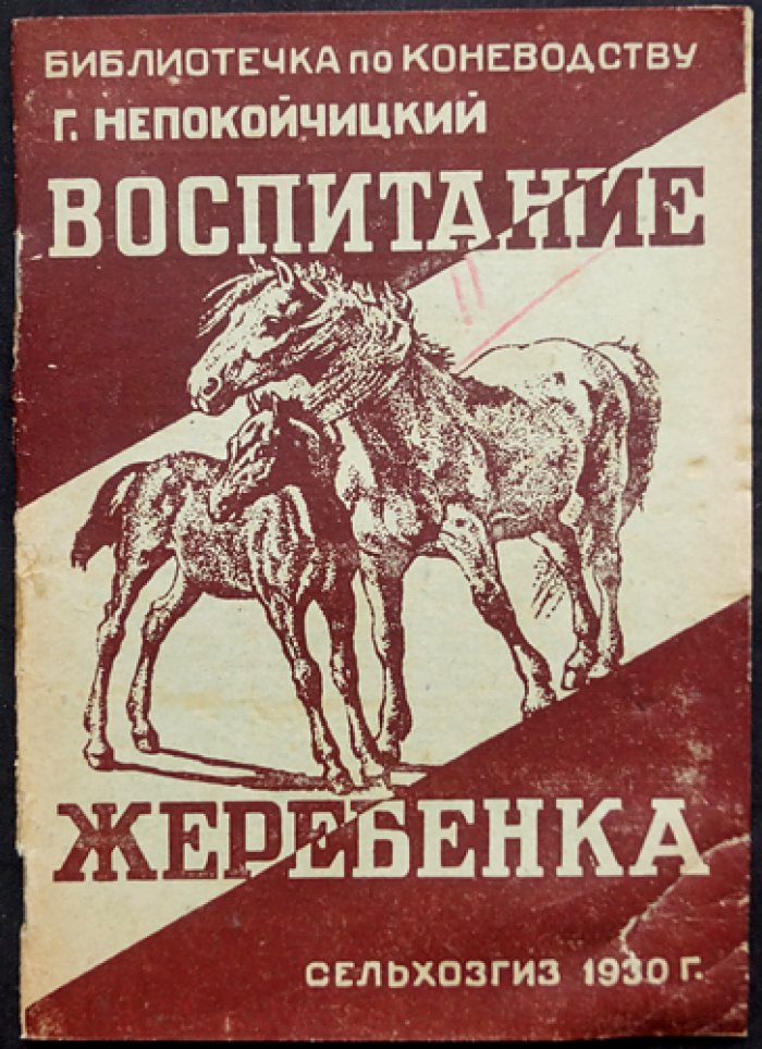 Непокойчицкий Г. Воспитание жеребенка.