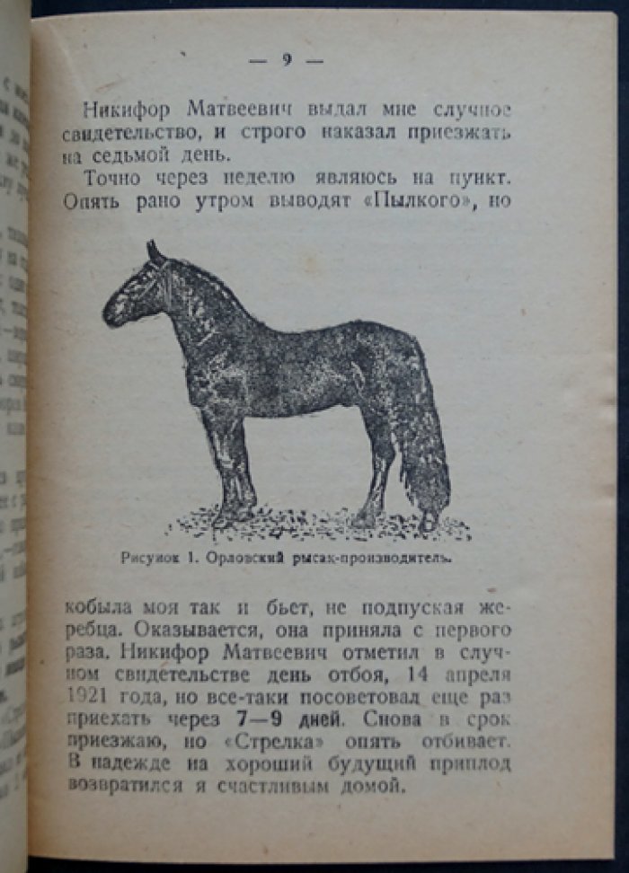 Непокойчицкий Г. Воспитание жеребенка.