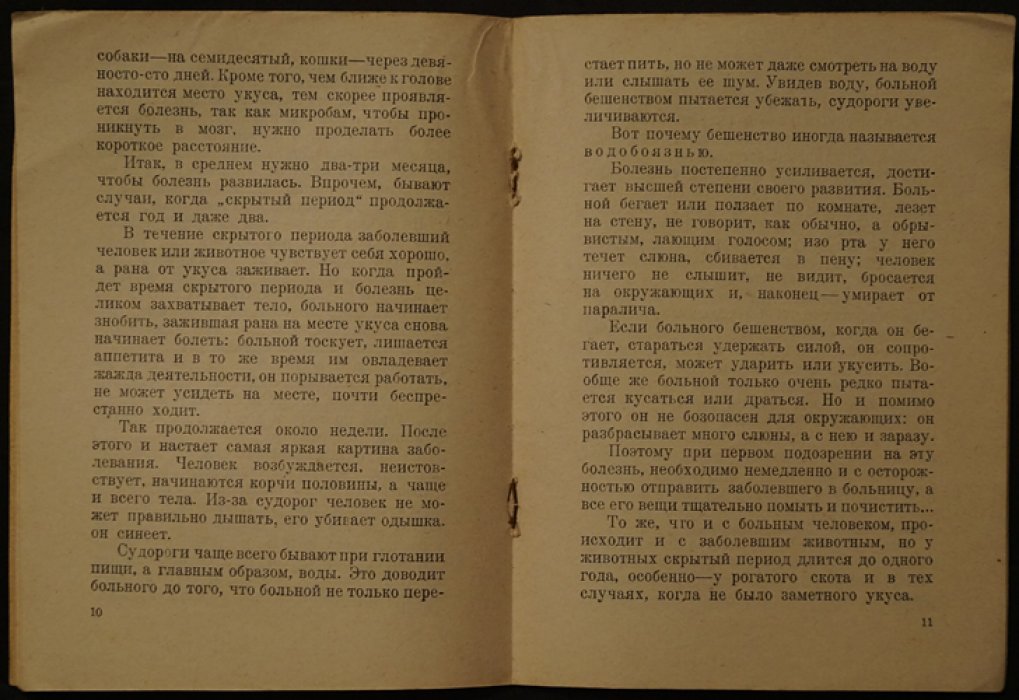 Кузнецов Н. Бешенство.