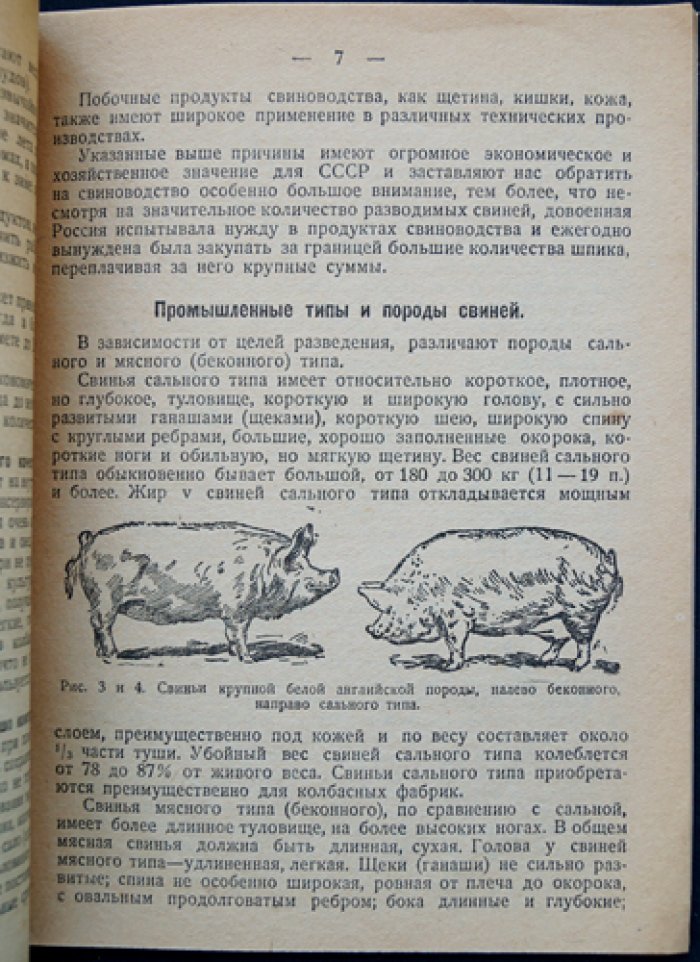 Бойков В. Свиноводство. Племенное и промышленное разведение свиней в совхозах, колхозах и поселковых товариществах
