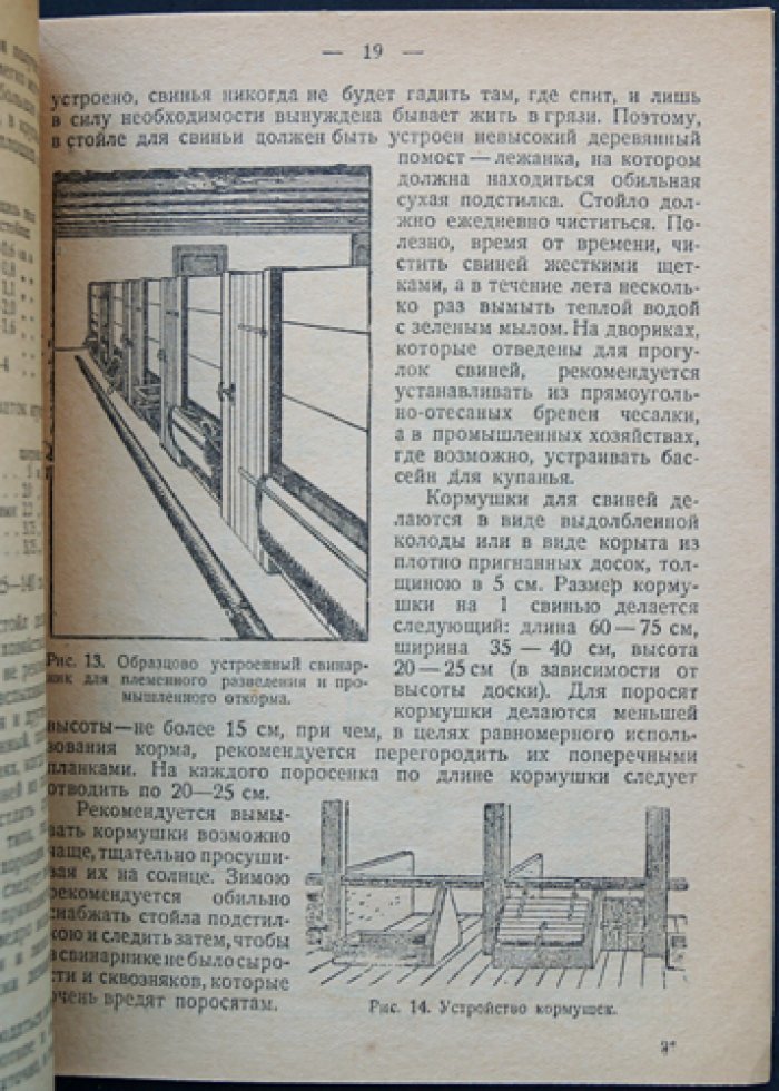 Бойков В. Свиноводство. Племенное и промышленное разведение свиней в совхозах, колхозах и поселковых товариществах