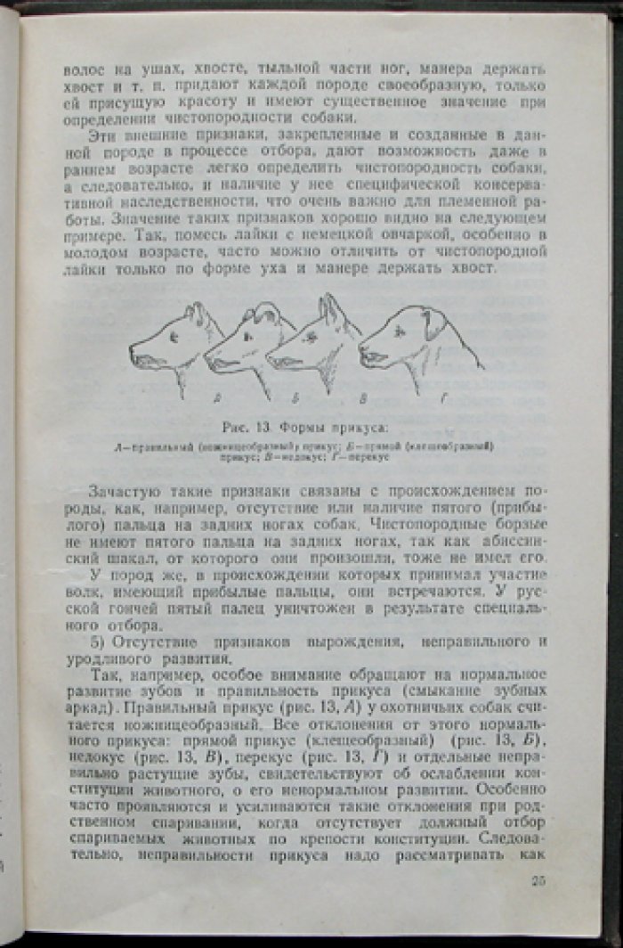 Шерешевский Э.И. Разведение охотничье-промысловых собак.