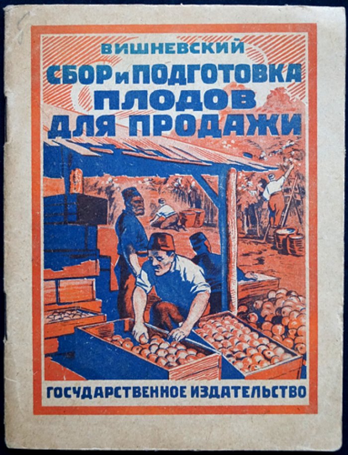 Вишневский П. К. Сбор и подготовка плодов для продажи.