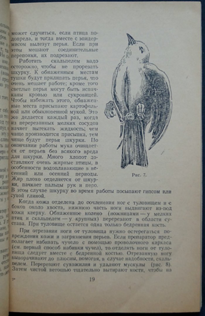 Тупиченко И. А. Набивка чучел птиц.