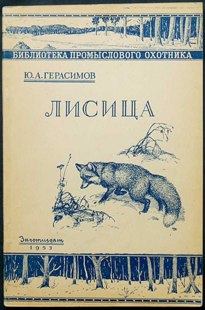 Герасимов Ю.А. Лисица.