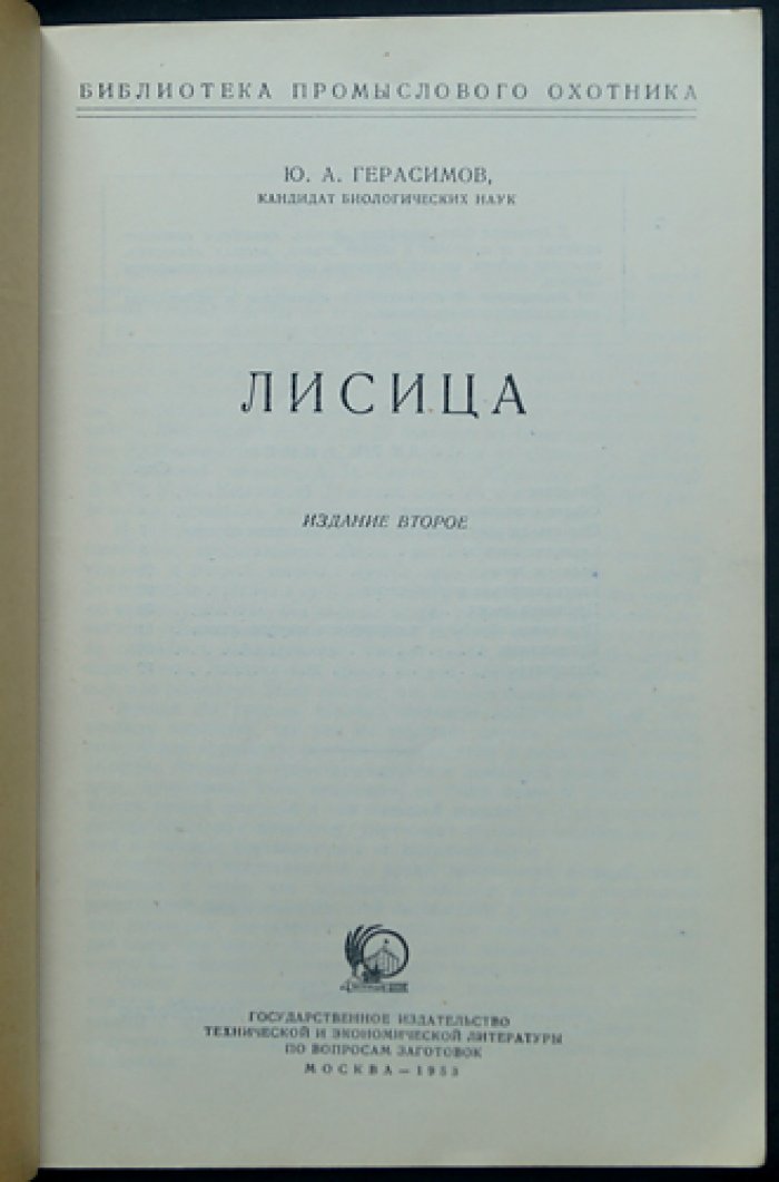 Герасимов Ю.А. Лисица.