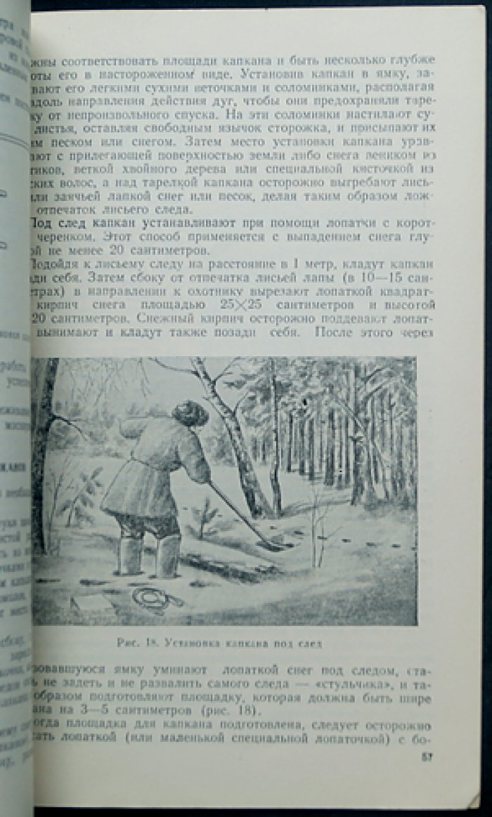 Герасимов Ю.А. Лисица.