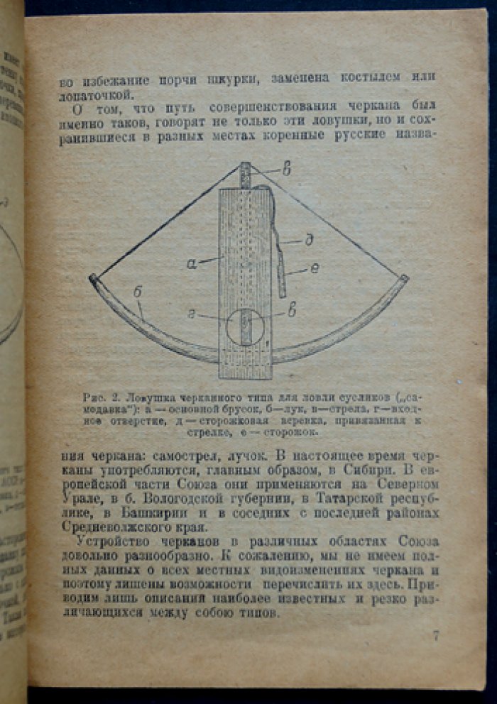 Жарков И.В. Ловля мелких пушных зверей черканом.