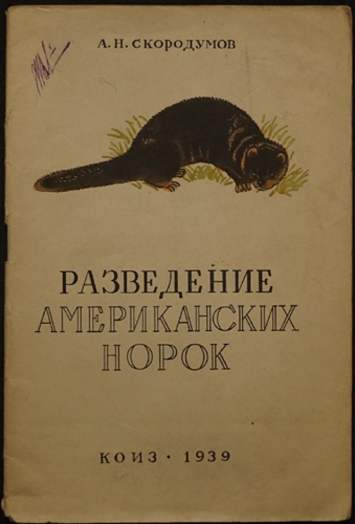 Скородумов А. Н. Разведение американских норок.