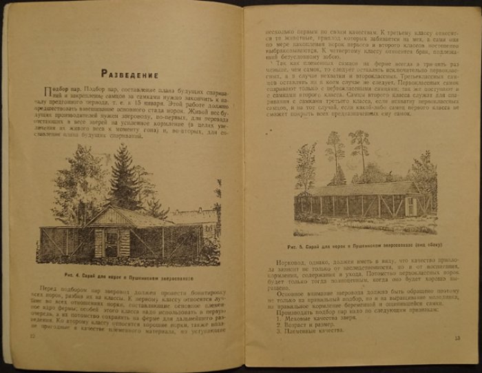 Скородумов А. Н. Разведение американских норок.