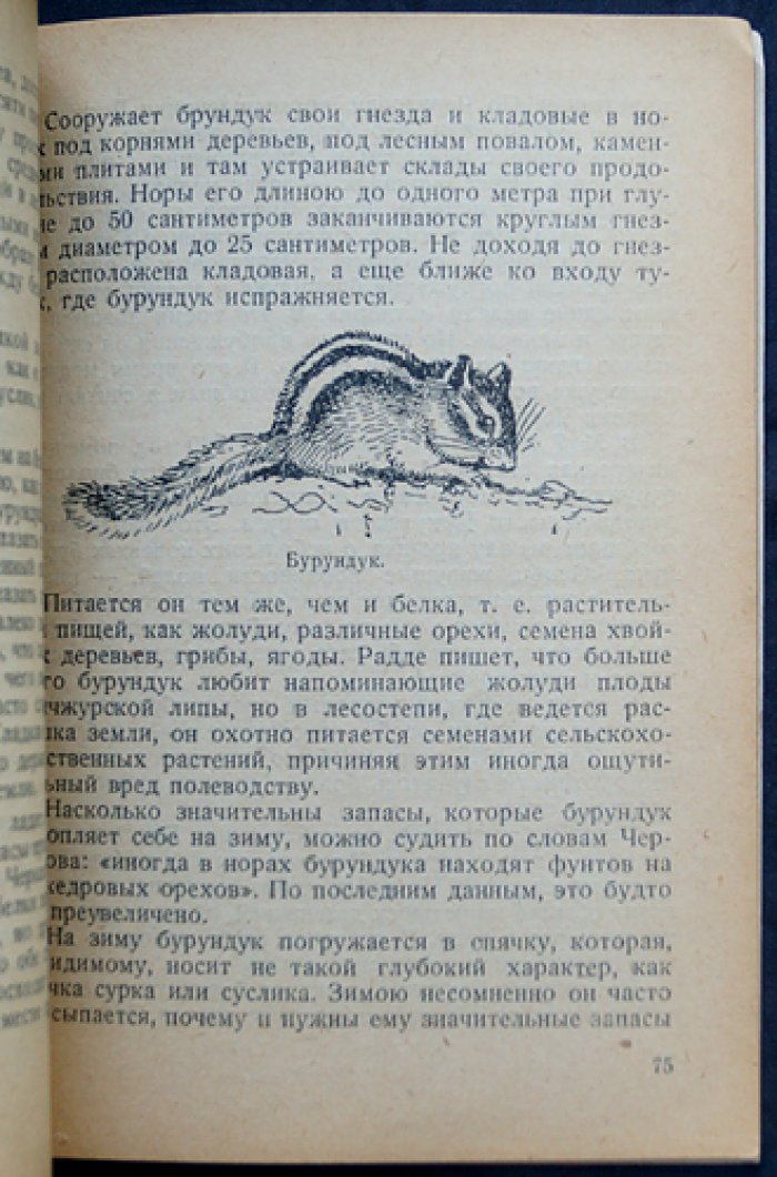 Каверзнев В.Н. Сурки, суслики и другие грызуны второстепенного значения: Их жизнь, добывание их и борьба с некоторыми из них