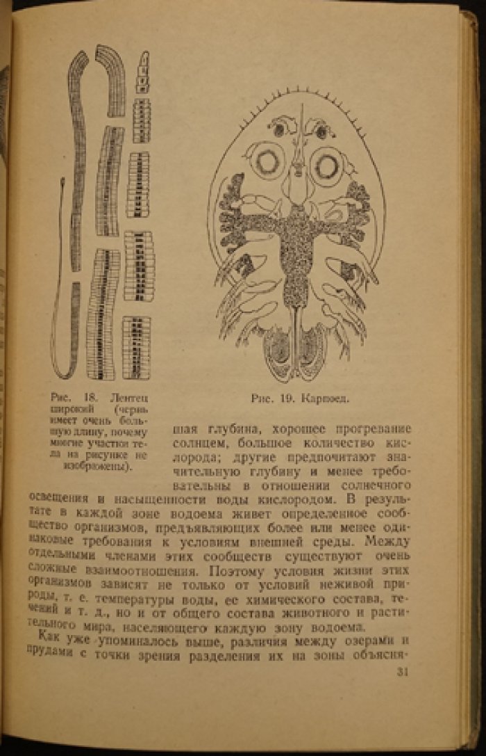 Мейен В.А. Рыбное хозяйство в озерах и прудах.