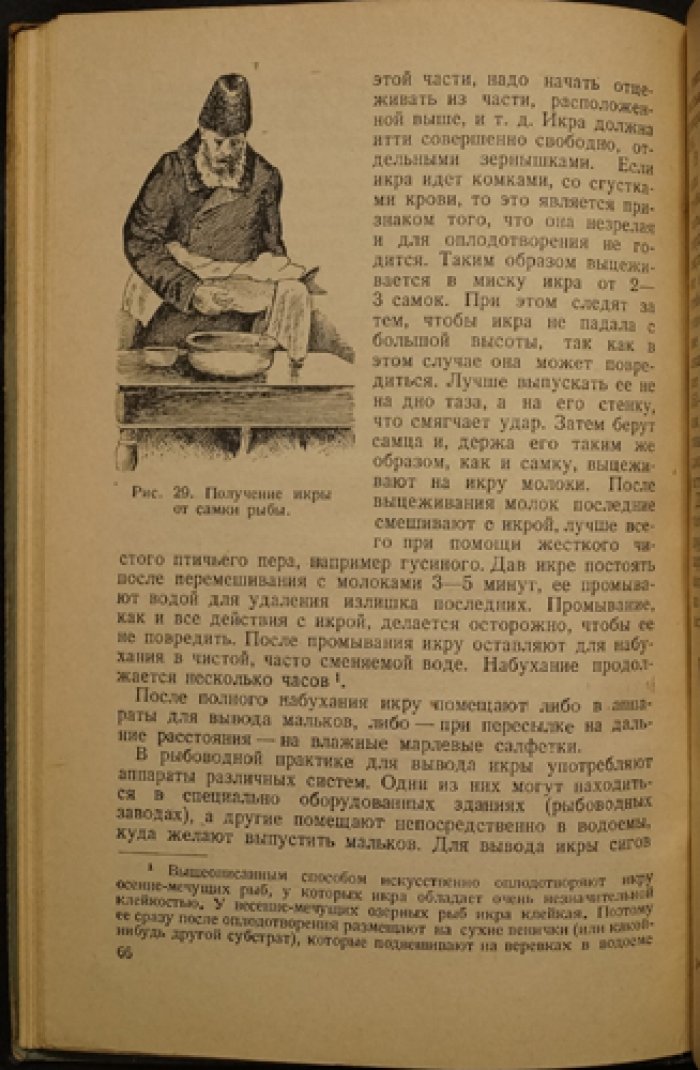 Мейен В.А. Рыбное хозяйство в озерах и прудах.