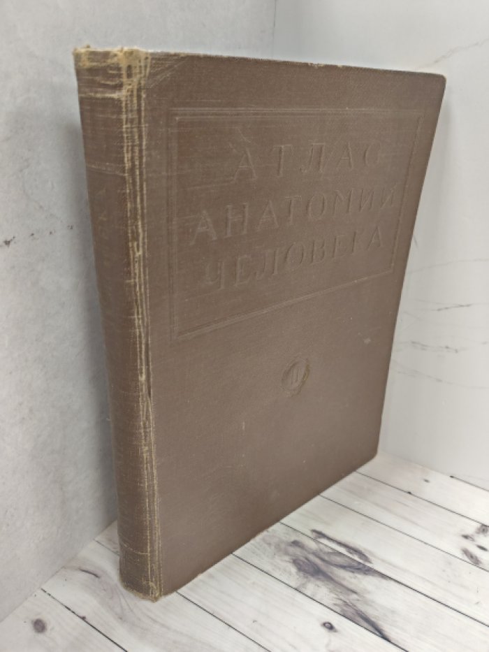 Воробьев В.П., Синельников Р.Д. Атлас анатомии человека. Том 2.