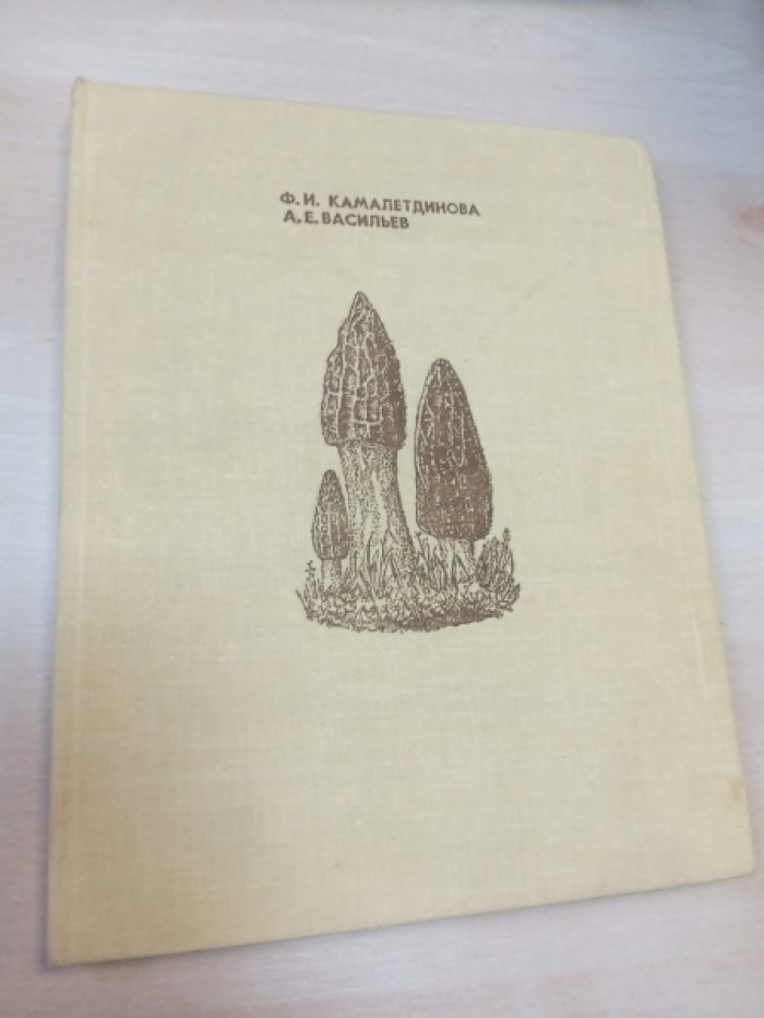 Камалетдинова Ф.И., Вастльев А.Е. Цитология дискомицетов.