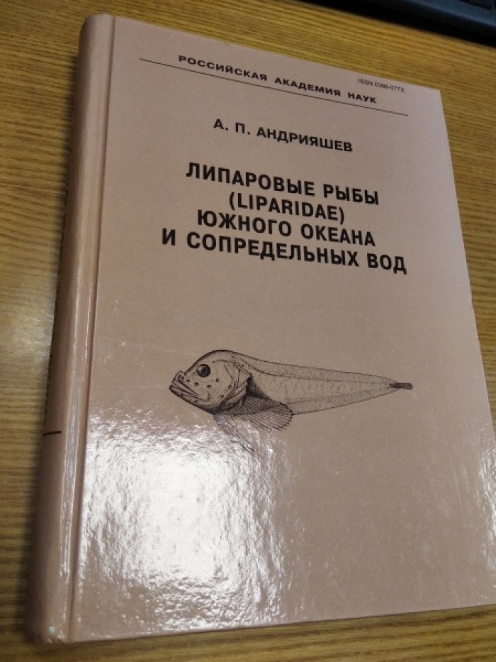 Андрияшев А.П. Липаровые рыбы (Liparidae, Scorpaeniformes) Южного океана и сопредельных вод