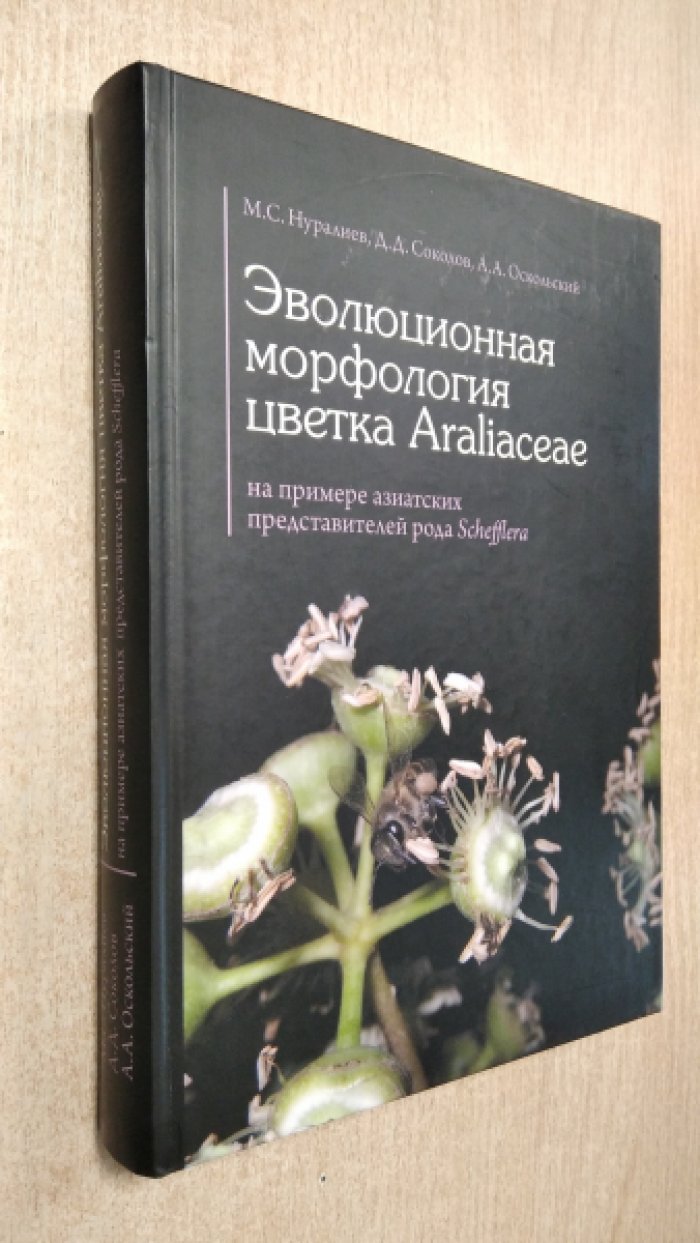 Нуралиев М.С., Соколов Д.Д., Оскольский А.А. Эволюционная морфология цветка Araliaceae (на примере азиатских представителей рода Schefflera).