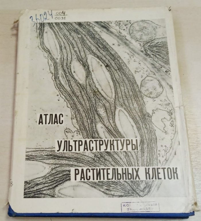 Атлас ультраструктуры растительных клеток.