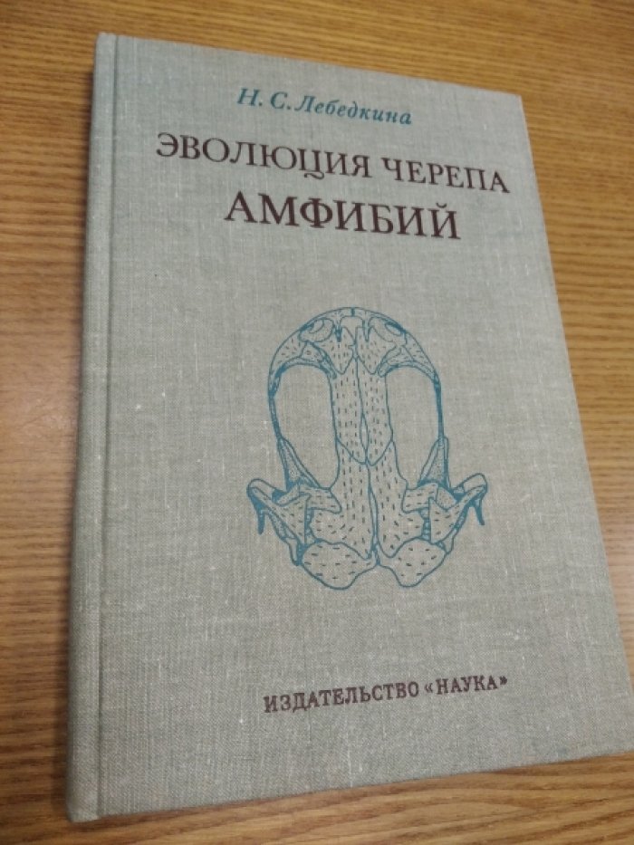 Лебедкина Н.С. Эволюция черепа амфибий.