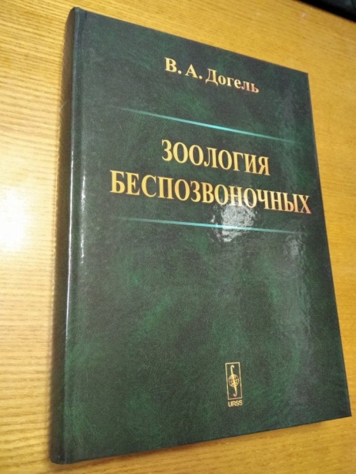 Догель В.А. Зоология беспозвоночных.