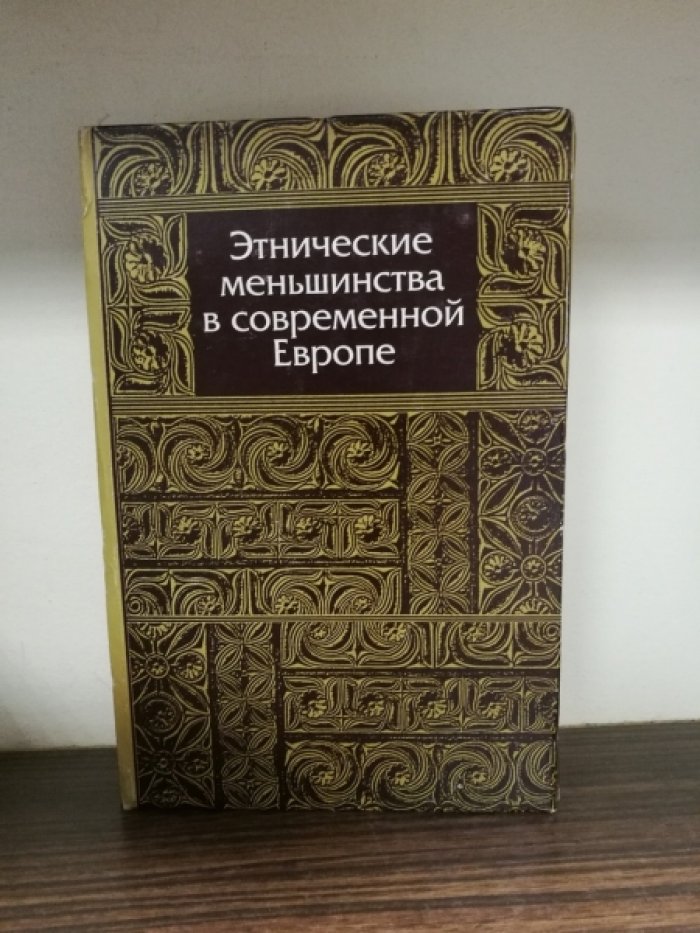 Этнические меньшинства в современной Европе.