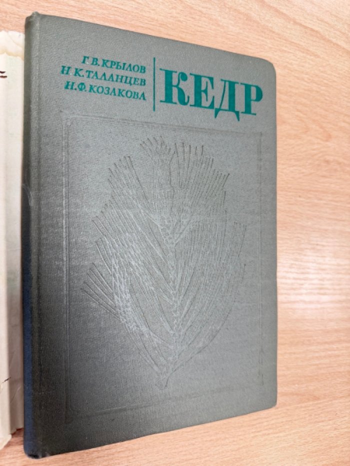 Крылов Г.В., Таланцев Н.К., Козакова Н.Ф. Кедр.