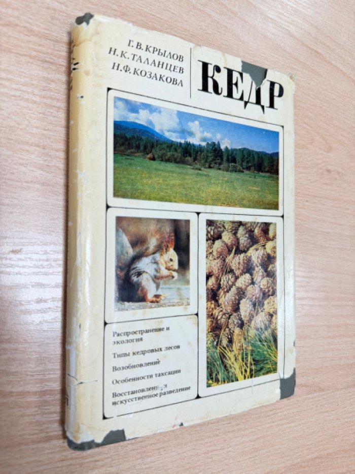 Крылов Г.В., Таланцев Н.К., Козакова Н.Ф. Кедр.