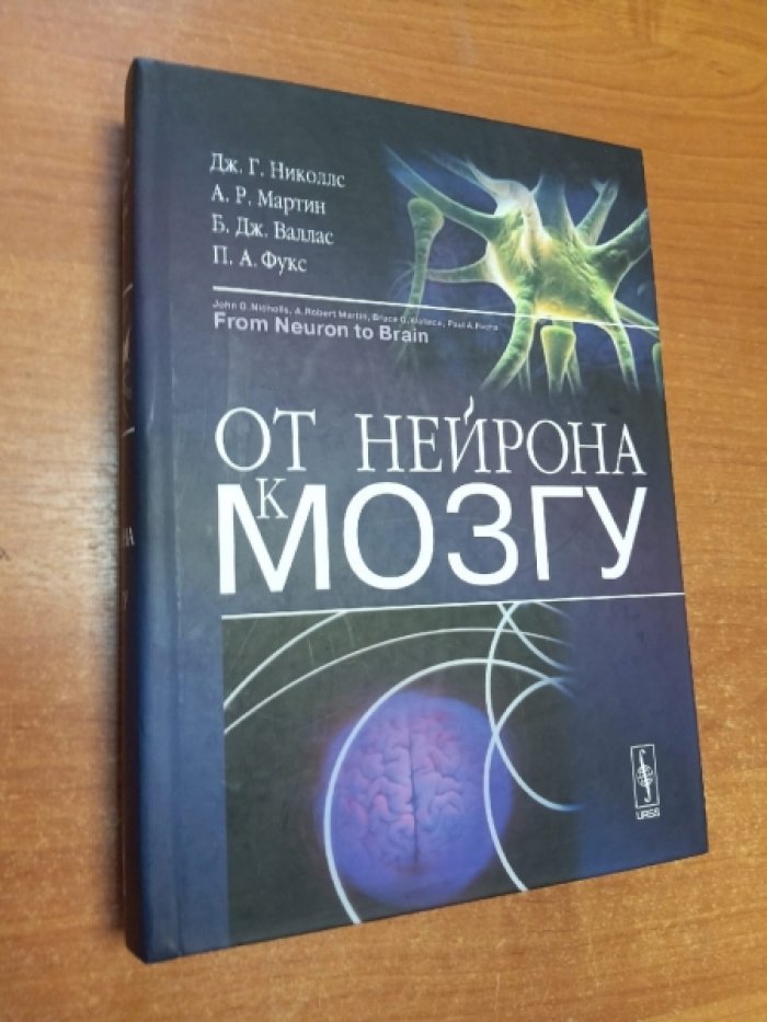 Николлс Дж.Г., Мартин А.Р., Валлас Б.Дж., Фукс П.А. От нейрона к мозгу.