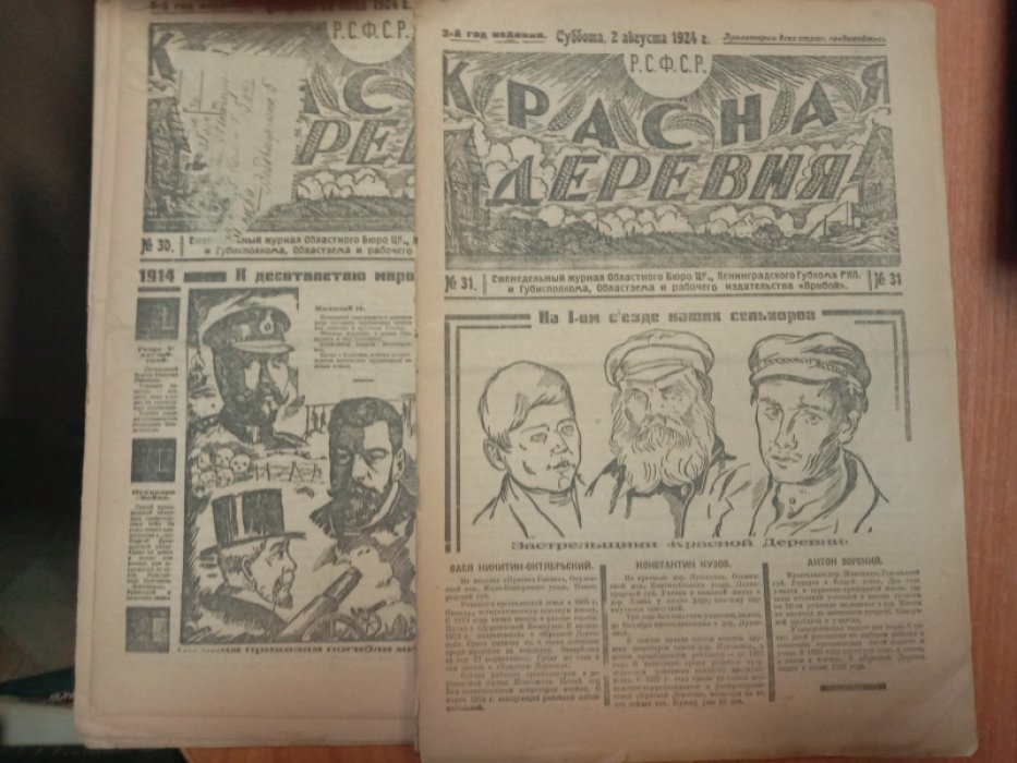 Красная деревня №22-31 1924г. Комплект из 10 номеров газеты