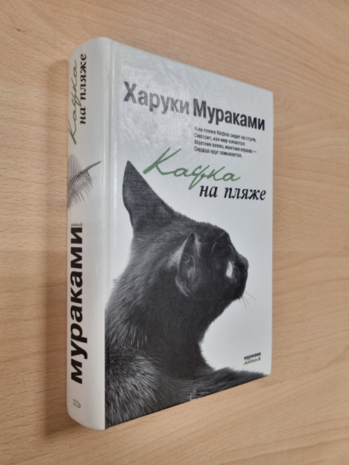 Мураками Х. Кафка на пляже.