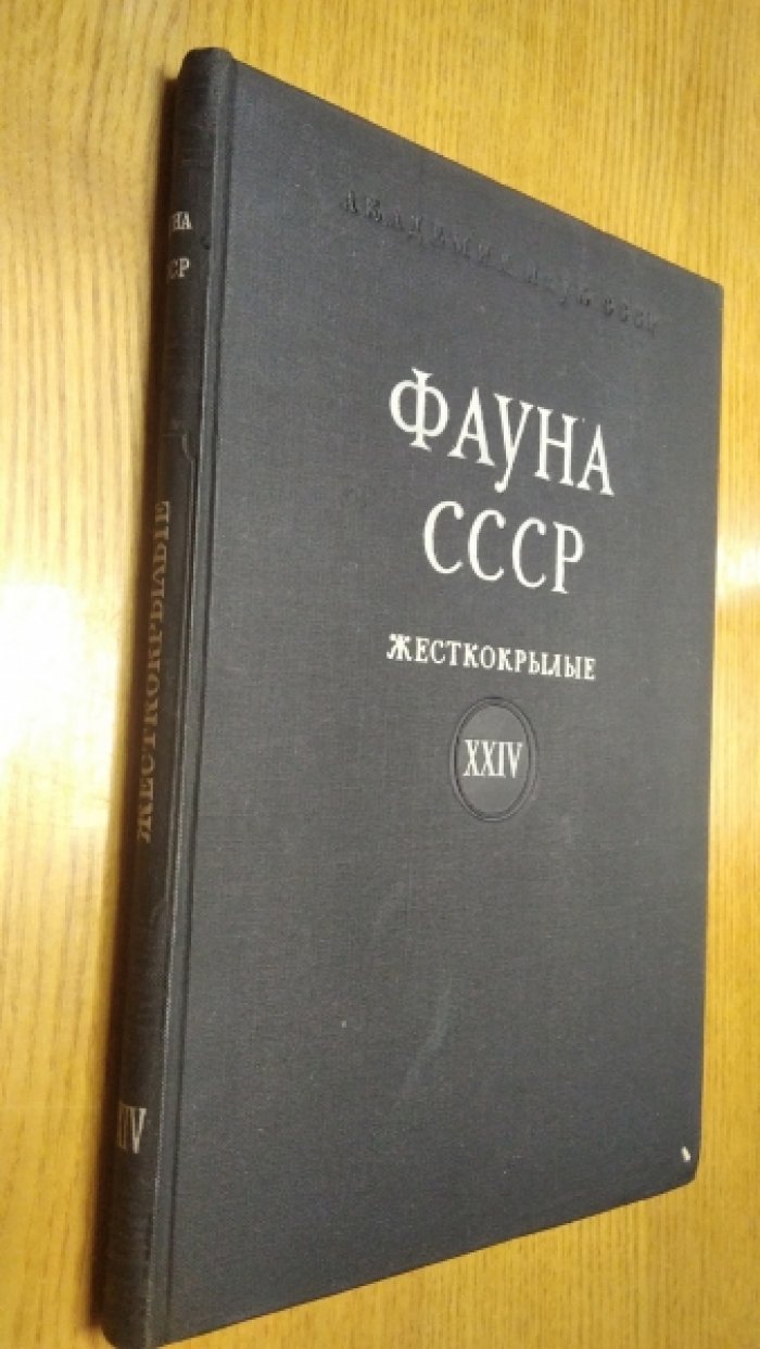 Фауна СССР. Жестокрылые. Том XXIV, вып.1