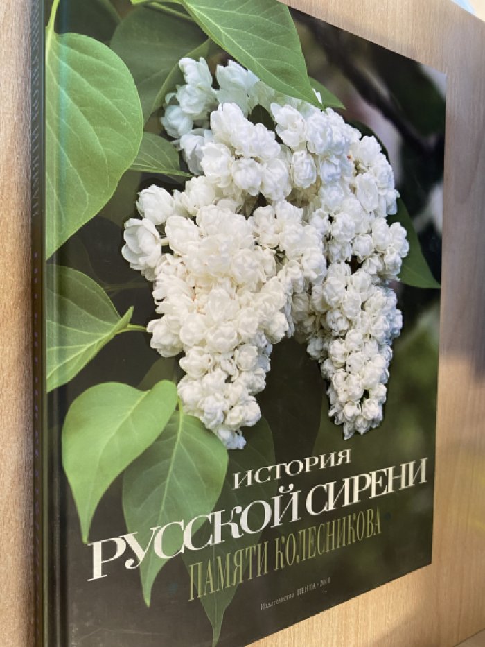 История русской сирени. Памяти Колесникова.
