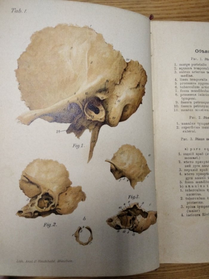 Dr.Gustav Bruhl при содействии Prof. Dr. A.Politzer. Карманный медицинский атлас. Том 10. Атлас и основы УШНЫХ БОЛЕЗНЕЙ.