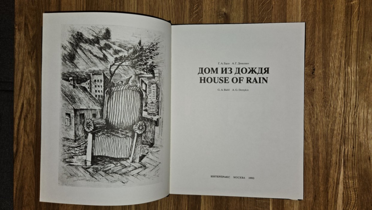 Балл Георгий, Демыкин Андрей. Дом из дождя. House of rain.