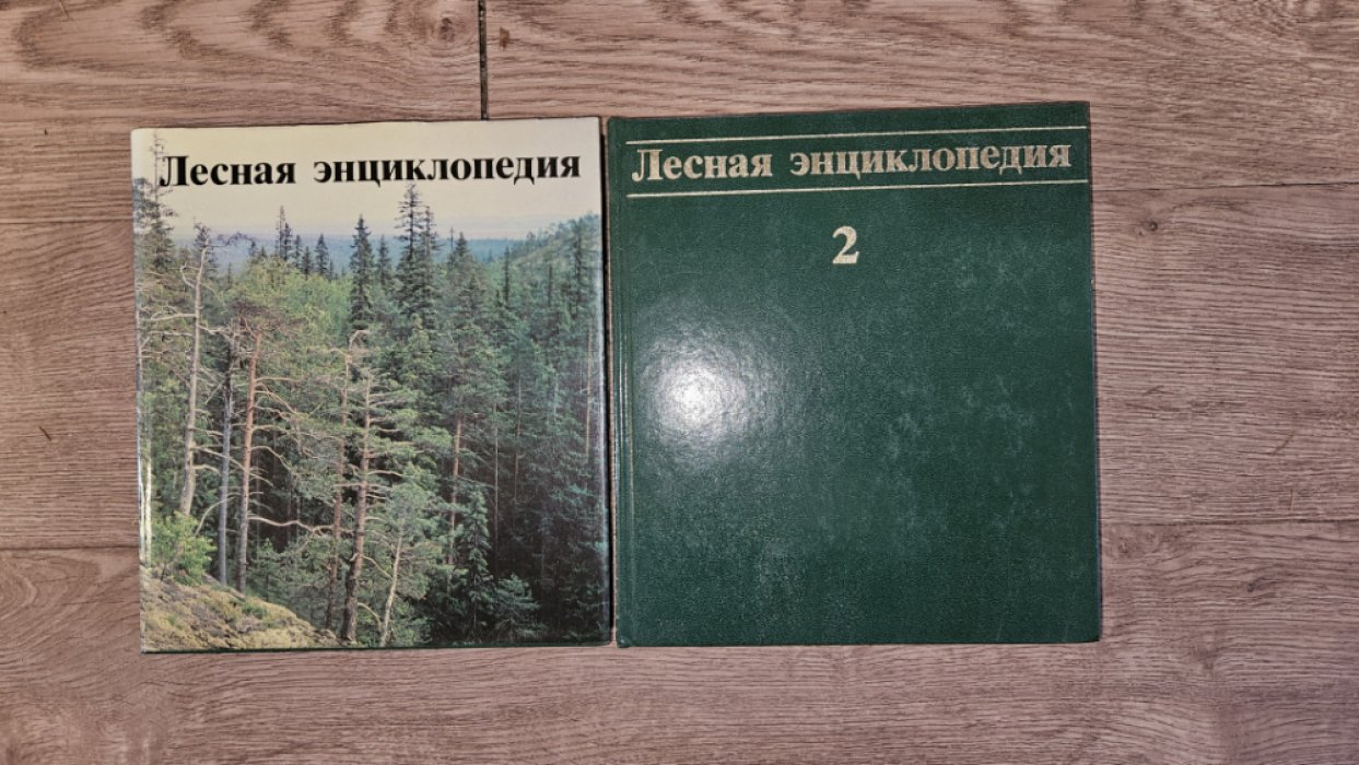 Лесная энциклопедия.В 2-х томах.