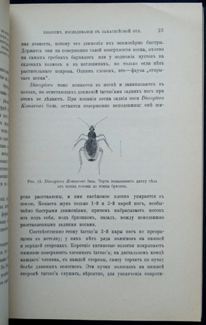 Биологические исследования в Закаспийской области: фауна пустыни и наблюдения в экспедициях 1903–1904 гг.