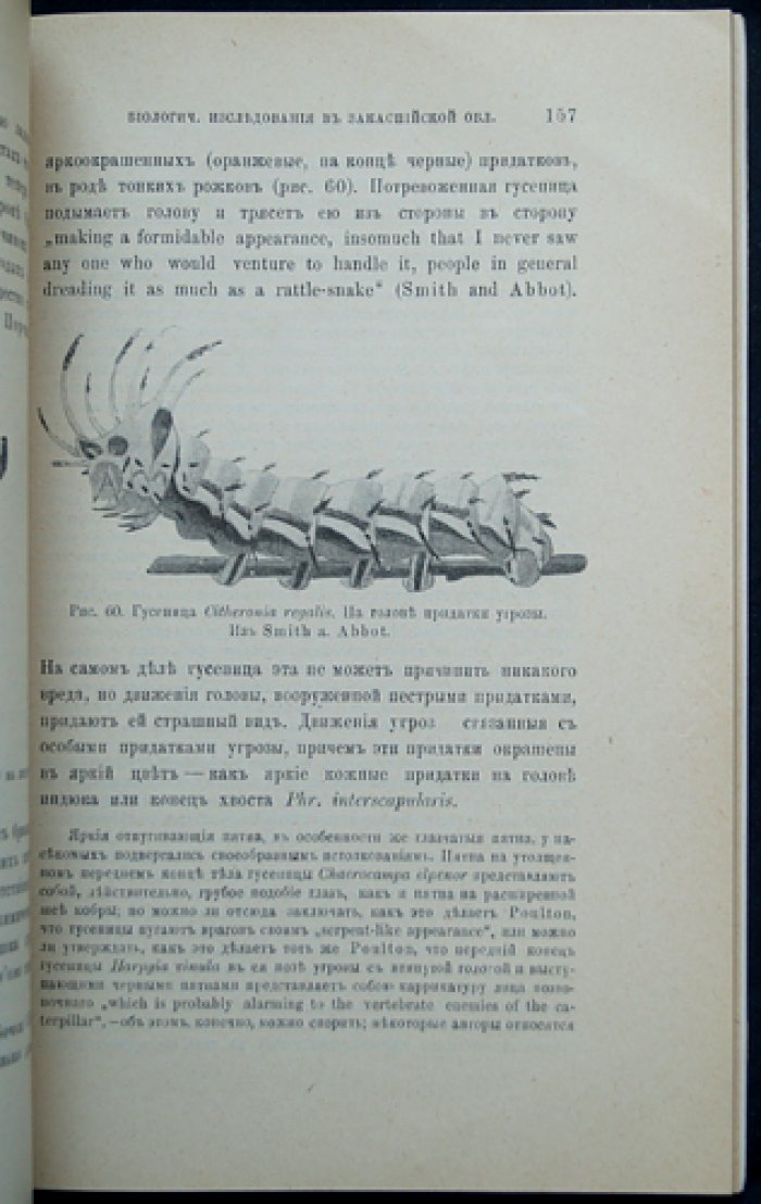 Биологические исследования в Закаспийской области: фауна пустыни и наблюдения в экспедициях 1903–1904 гг.