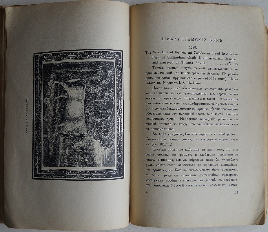 Томас Бьюик (1753–1828). Художник и гравер: иллюстрации, техника, биография