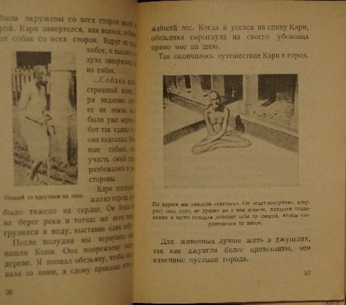 Дмитриев С. Н. В джунглях Индии (1929) — издание «Работник просвещения», в издательских обложках