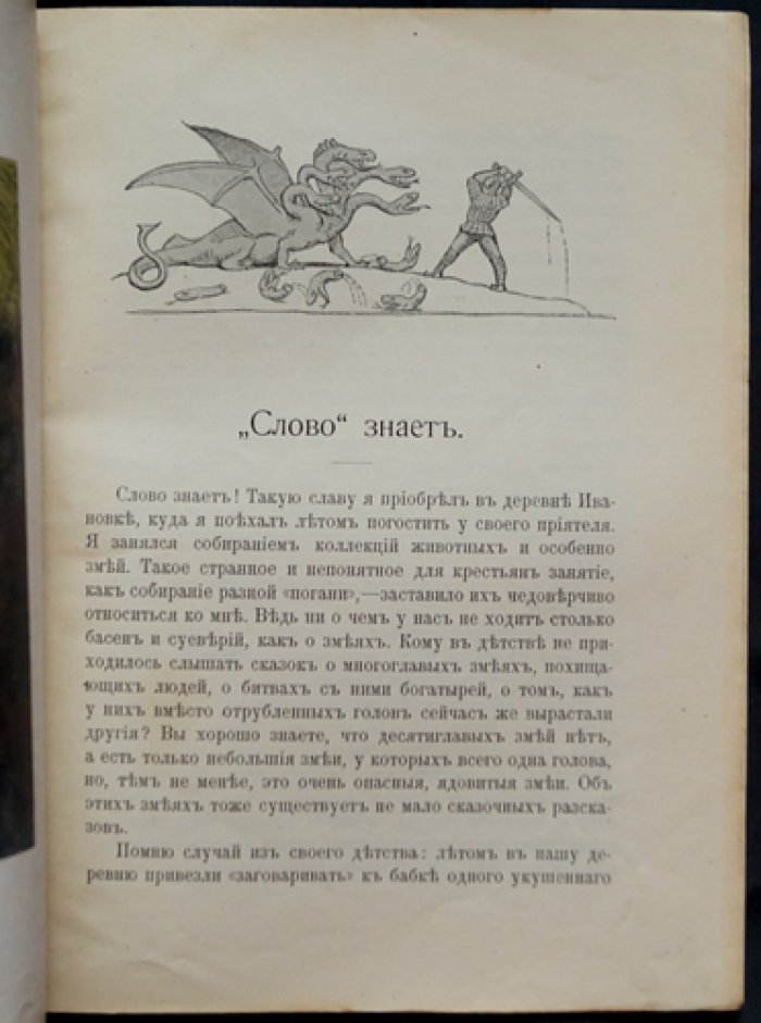 «Родная природа: “Слово” знает» — книга А. Чеглока о жизни и наблюдениях за окружающим миром