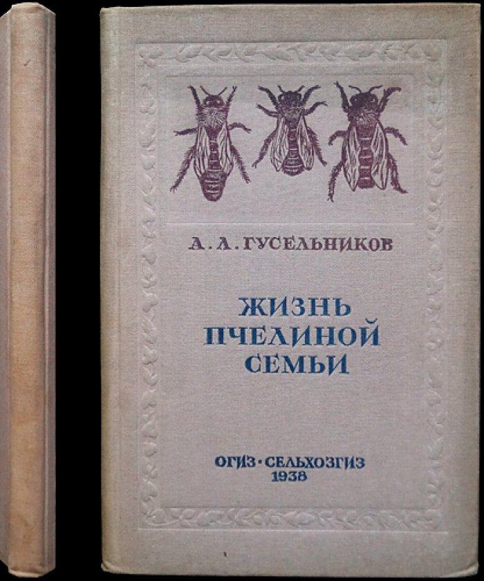 Жизнь пчелиной семьи: биология, строение, питание и годичный цикл