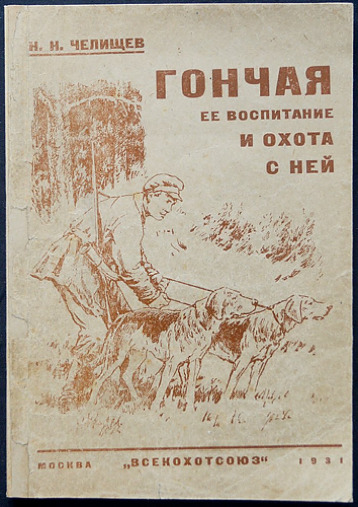 Гончая: её воспитание и охота с ней