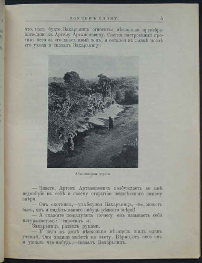 Чеглок А. Звери Центральной и Южной Африки (отдельный оттиск) — детское издание по естествознанию