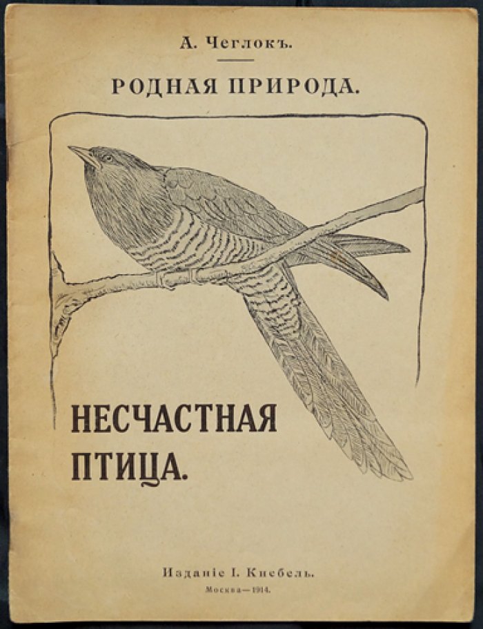 Чеглок. Родная природа: «Несчастная птица»