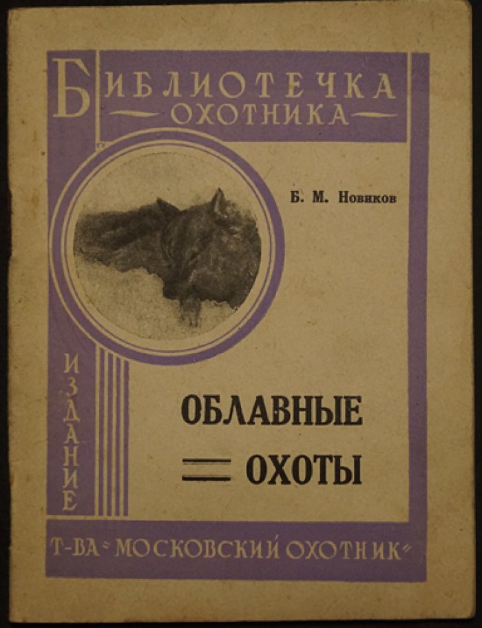 Облавные охоты: как организовать травлю серого хищника и вести себя охотнику