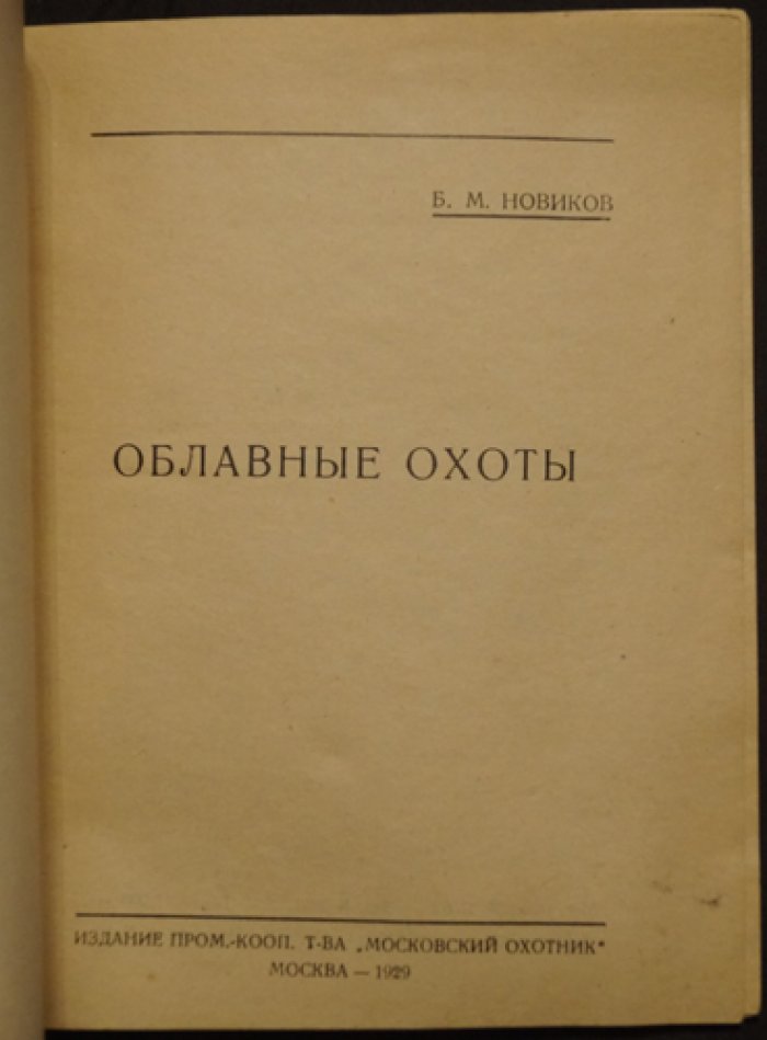 Облавные охоты: как организовать травлю серого хищника и вести себя охотнику